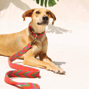 Chila Bags | Rojo Leash