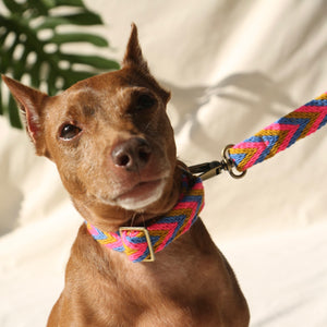 Mostaza Set - Collar & Leash | Wayuu Set | Chila Bags