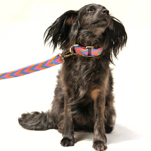 Mostaza Set - Collar & Leash | Wayuu Set | Chila Bags